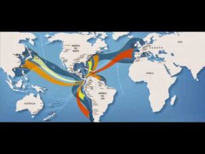 Tiempo de entrega de barcos de México a Japón: Descubre cuánto tarda