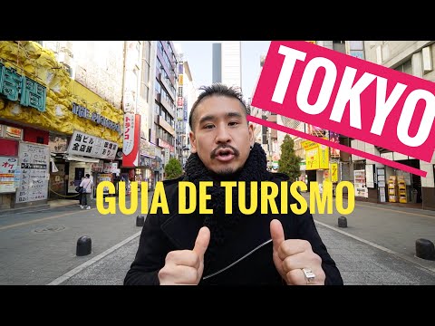 Guía completa: Cómo ir de Tokio a Kioto en pocos pasos