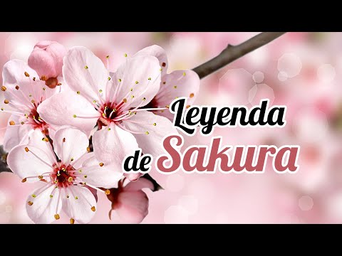 Significado de Sakura en japonés: Descubre su significado y simbolismo