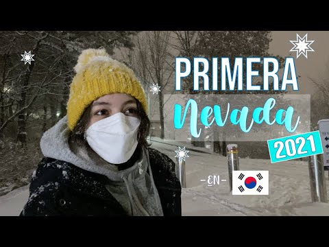 Meses de nieve en Seúl: descubre cuándo disfrutar de la nieve en la capital coreana